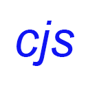 Custom JavaScript for websites